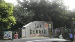 乐山市金太阳幼儿园的图片