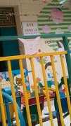 廉州镇动画城幼儿园的图片