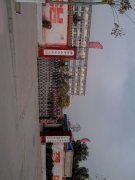 南阳市大风车幼儿园的图片