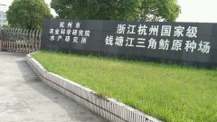 杭州国家级钱塘江三角鲂原种场