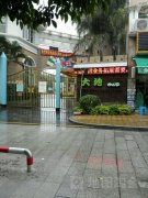 荣昌大地双语幼儿园的图片