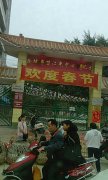 城镇黎汉光中心幼儿园