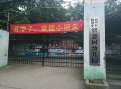柳州市鱼峰区智慧树幼儿园