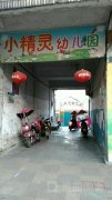 小精灵幼儿园(盱江大道店)的图片