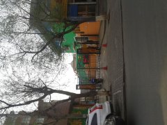 包头市青山育蕾幼儿园的图片