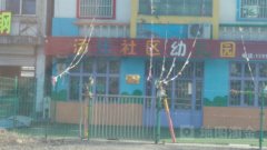 汤庄办事处阳光幼儿园的图片