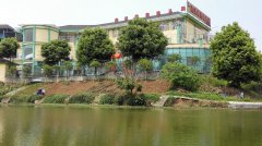 尚沃银杏幼儿园的图片