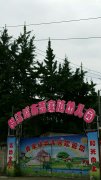 都江堰市胥家镇幼儿园的图片