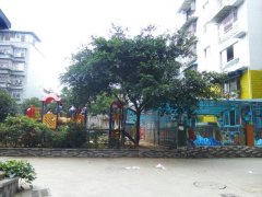 城东幼儿园的图片