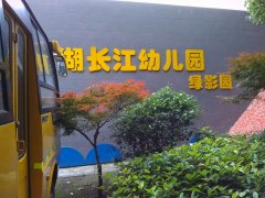 长江·绿影双语艺术幼儿园的图片