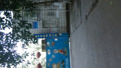 金狮幼儿园(贵州路)的图片