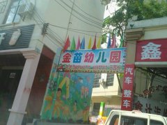 金苗艺术幼儿园(桂林上路