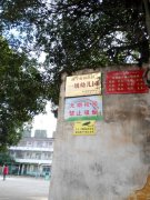良庆镇中心学校幼儿园的图片