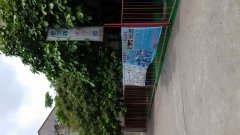 云南路艺术幼儿园的图片