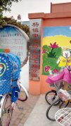 杨镇飞翔双语艺术幼儿园的图片