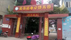 龙马镇中心幼儿园
