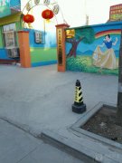 宝都街道新星幼儿园的图片